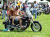 IMG_3229.jpg
