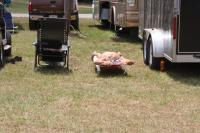 BBF July 2011 007.JPG