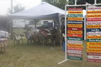 BBF July 2011 026.JPG